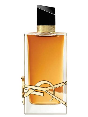 yves saint laurent intense dames